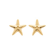 Boucles d'oreilles puces dorées Hazel étoile de mer - Bijou photographié sur fond blanc