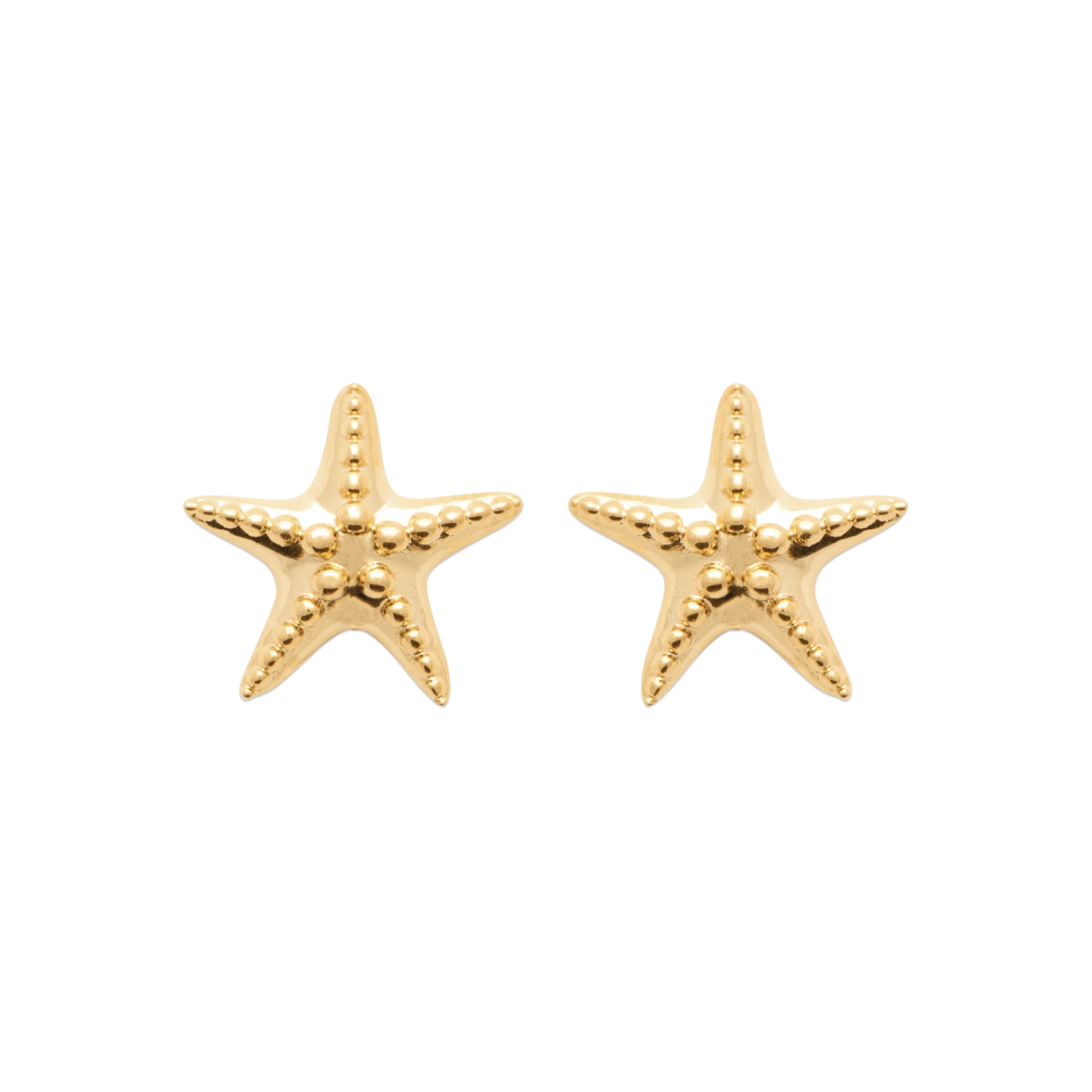 Boucles d'oreilles puces dorées Hazel étoile de mer - Bijou photographié sur fond blanc