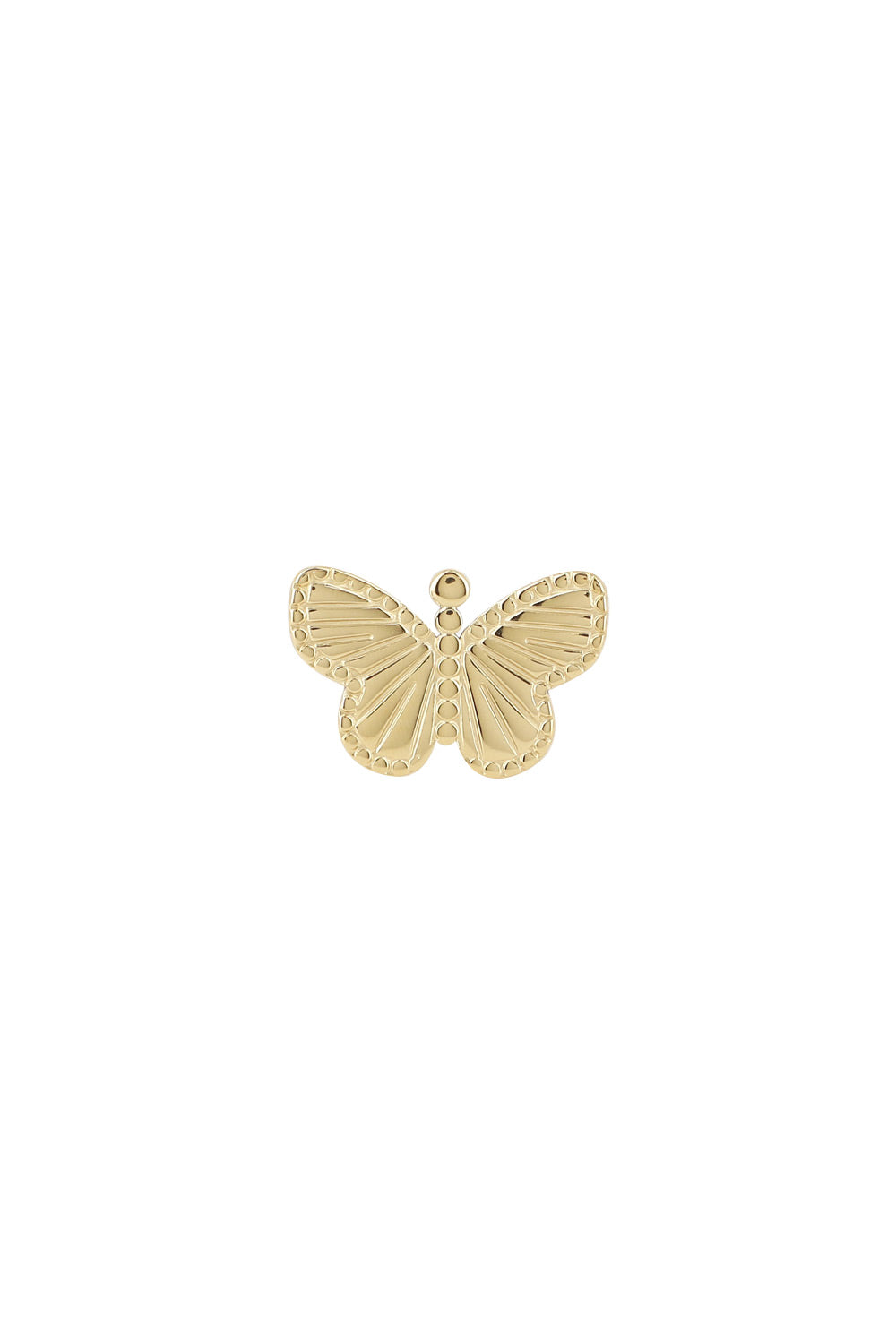 Bague dorée Palma papillon - Bijou photographié sur fond blanc
